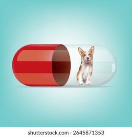 Design of dog medicine capsules