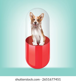 Design of dog medicine capsules