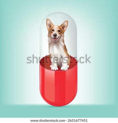 Design of dog medicine capsules