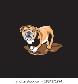 design dog pitbull special indonesia