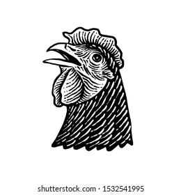 design of a domestic chicken head