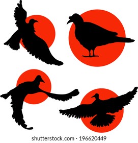 Design dove vector.