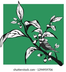 design and drawing of a tree branch  leafs and bird in black and white line and background color