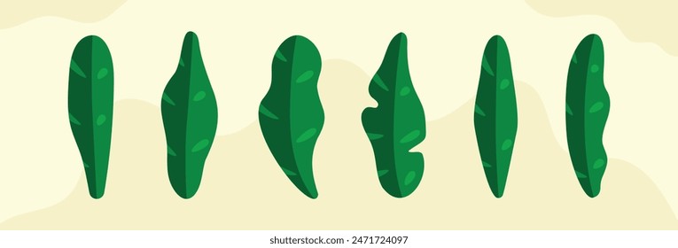 Design element of 6 flat style green vector leaves