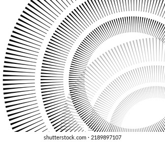 Design element background. Isolated bold vector ring from. Abstract wavy stripes of many swirl created using Blend Tool. Vector illustration EPS10 for your presentation