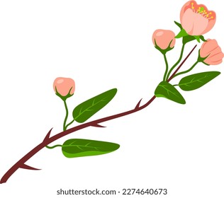 Design element with blooming spring branch natural composition vector
