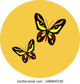 
Design element, butterfly with pattern, bright, motley 