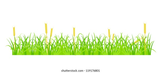 Design element - cartoon green grass with yellow spikelets. EPS10 vector.