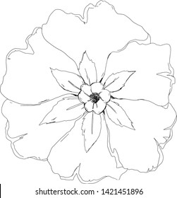Design element face flower picture vector illustration. Black and white flower. 