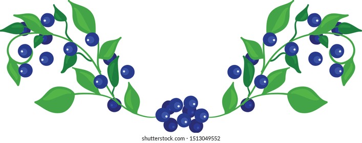 Design element. Green twig with ripe blueberries. Vector illustration