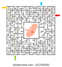 Design element for pregnancy theme.  Background with embryo in center. Flat design. Maze.  vector illustration