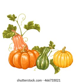 Design element with pumpkins. Decorative ornament from vegetables and leaves.