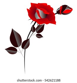 Design element, red rose with a bud.