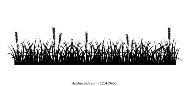 Design element - silhouette of grass and spikelets. EPS10 vector.