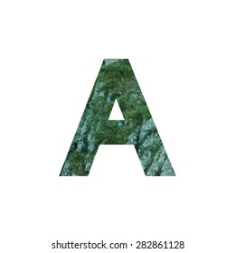  Design element with Stones with moss rocks. Vector logotype template. Double exposure texture mountain with letter. Modern stylish logo. Stylized letter A. logo design  cut out . Picture for printed