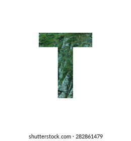  Design element with Stones with moss rocks. Vector logotype template. Double exposure texture mountain with letter. Modern stylish logo. Stylized letter T. logo design  cut out . Picture for printed