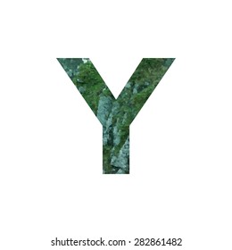 Design element with Stones with moss rocks. Vector logotype template. Double exposure texture mountain with letter. Modern stylish logo. Stylized letter Y. logo design  cut out . Picture for printed