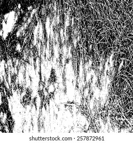 Design element. vector grunge texture