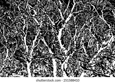 design element. vector tree silhouette