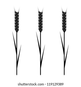 Design element - wheaten ear. EPS10 vector.