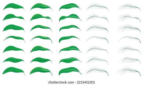 Design elements 2.
Collection of frame leaf and tree vector.