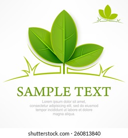 Design elements, branch with green leaves & text, vector illustration