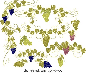 Design elements with bunches of grapes and vines in vintage style.
