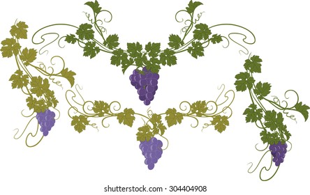 Design elements with bunches of grapes and vines in vintage style.