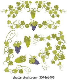 Design elements with bunches of grapes and vines in vintage style.