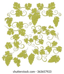 Design elements with bunches of grapes and vines in vintage style. Vector design elements in vintage style with vines.