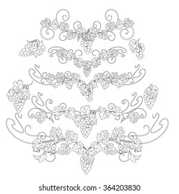 Design elements with bunches of grapes and vines in vintage style. Vector design elements in vintage style with vines.
