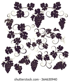 Design elements with bunches of grapes and vines in vintage style. Vector design elements in vintage style with vines.