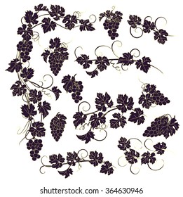 Design elements with bunches of grapes and vines in vintage style. Vector design elements in vintage style with vines.