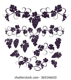 Design elements with bunches of grapes and vines in vintage style. Vector design elements in vintage style with vines.