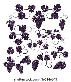 Design elements with bunches of grapes and vines in vintage style. Vector design elements in vintage style with vines.