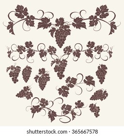 Design elements with bunches of grapes and vines in vintage style. Vector design elements in vintage style with vines.