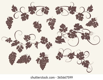 Design elements with bunches of grapes and vines in vintage style. Vector design elements in vintage style with vines.