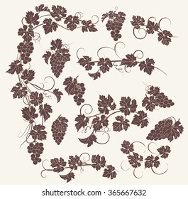Design elements with bunches of grapes and vines in vintage style. Vector design elements in vintage style with vines.
