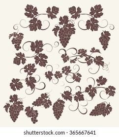 Design elements with bunches of grapes and vines in vintage style. Vector design elements in vintage style with vines.