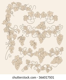 Design elements with bunches of grapes and vines in vintage style. Vector design elements in vintage style with vines.