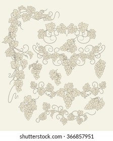 Design elements with bunches of grapes and vines in vintage style. Vector design elements in vintage style with vines.