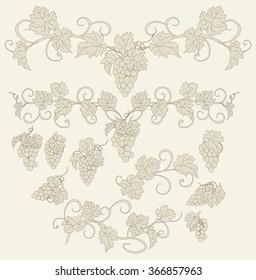 Design elements with bunches of grapes and vines in vintage style. Vector design elements in vintage style with vines.