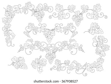 Elementos de diseño con racimos de uvas y viñas de estilo vintage. Elementos de diseño vectorial de estilo vintage con viñas.