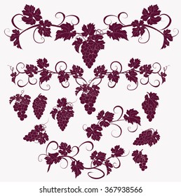 Design elements with bunches of grapes and vines in vintage style. Vector design elements in vintage style with vines.