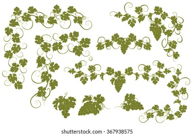 Design elements with bunches of grapes and vines in vintage style. Vector design elements in vintage style with vines.