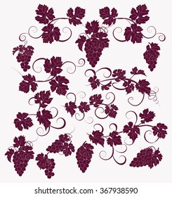 Design elements with bunches of grapes and vines in vintage style. Vector design elements in vintage style with vines.
