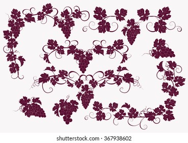 Design elements with bunches of grapes and vines in vintage style. Vector design elements in vintage style with vines.