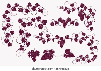 Design elements with bunches of grapes and vines in vintage style. Vector design elements in vintage style with vines.