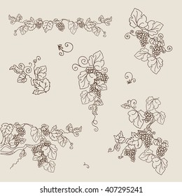 Design elements with bunches of grapes and vines in vintage style. Vector design elements in vintage style with vines.