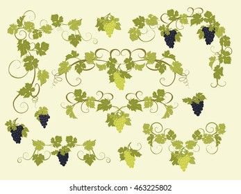 Design elements with bunches of grapes and vines in vintage style.